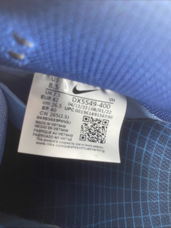 Nike SB Blue Multi Skate Shoes